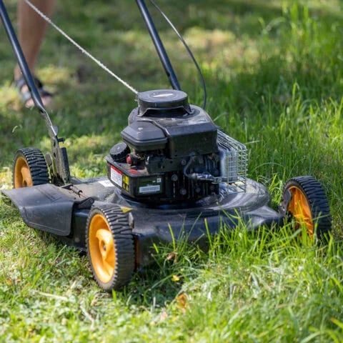 Yard Waste Dumpster Rental Services in Utah